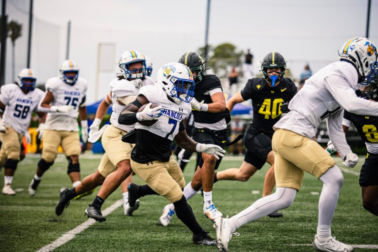 faabef0fee83ff434fced87f3505ba24